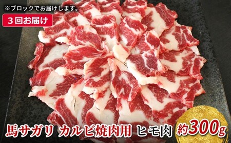 定期便 3ヶ月 馬 サガリ 300g 馬肉 肉 熊本 3回 お楽しみ ※配送不可:離島