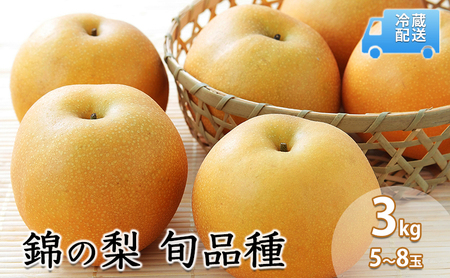 梨 3kg 先行予約 錦の梨 約5玉〜8玉 フルーツ なし ナシ 果物 デザート 2025年発送 古里農園 配送不可:離島