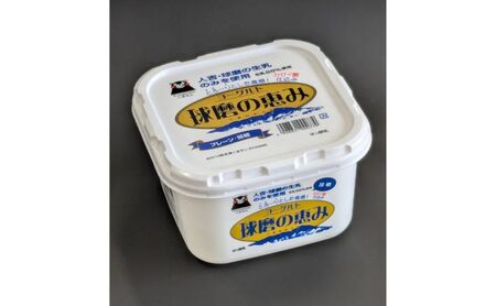 ヨーグルト もっちり、とろ〜りの2つに食感! 球磨の恵みヨーグルト ( 加糖タイプ ) 3kg [配送不可:沖縄県、離島]