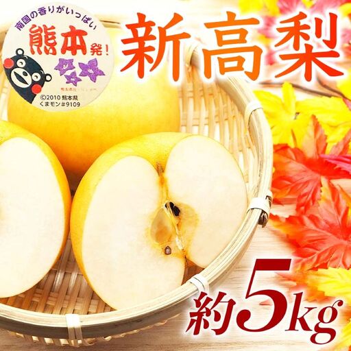 新高梨 約5kg（6～16玉）【梨 なし 果物 フルーツ デザート 食後 熊本県産】※配送不可：離島