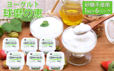 球磨の恵ヨーグルト 1kg×6パック(砂糖不使用) 乳製品