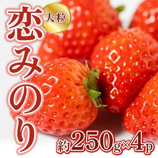 恋みのり 1kg 先行予約 約250g×4P 錦町産 いちご 恋みのり 苺 イチゴ デザート フルーツ 2027年1月以降より順次発送 配送不可:離島