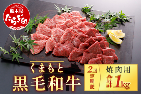 [定期便2回]くまもと黒毛和牛 焼肉用 500g ×2回配送 ブランド 黒毛和牛 焼肉 焼き肉 やきにく 肉 牛肉 多良木町 国産 和牛