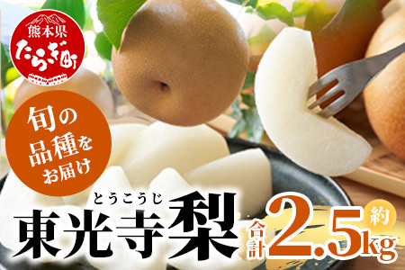 先行予約[2025年7月下旬〜発送分]東光寺 梨 2.5kg (5〜7玉) 1箱 完熟 梨 なし ナシ フルーツ 果物 くだもの 夏 旬 旬の果物 のフルーツ 幸水 幸水梨 豊水 豊水 秋月 秋月 新興 新興 新高 新高梨 人気 大人気 大好評 新着