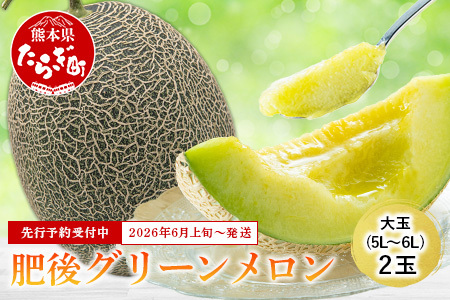 [2026年6月上旬順次発送 先行予約]大玉 肥後グリーンメロン 2玉 約4.6kg以上 熊本県産[ 果物 フルーツ グリーンメロン 先行予約 4.6kg 青肉 期間限定 数量限定 熊本県 多良木町 ]