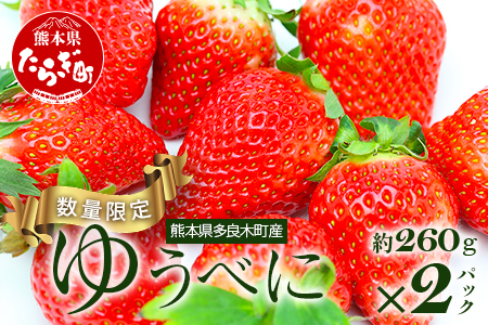 [先行予約]熊本県産 いちご ゆうべに 約260g×2パック 産地直送 国産 新鮮 フレッシュ 果物 苺 イチゴ フルーツ