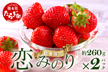 [先行予約]熊本県産いちご 恋みのり 約260g×2パック産地直送 国産 新鮮 フレッシュ 果物 苺 イチゴ フルーツ