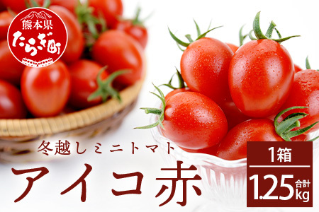 [産地直送]熊本県産 ミニトマト「アイコ (赤色)」約1.25kg 国産トマト アイコ とまと 甘い 熊本 多良木町 農園直送 新鮮 フルーツトマト フルーティ 020-0532