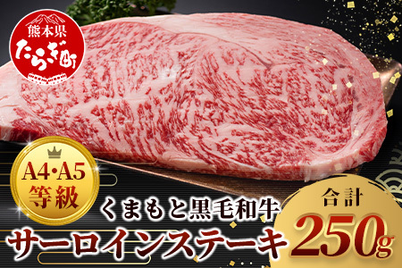 [ A4〜 A5 等級 ]くまもと黒毛和牛サーロインステーキ 250g[ ブランド 牛肉 肉 サーロイン ステーキ 250g×1枚 ご馳走 ご褒美 和牛 国産 熊本県 上級 上質 