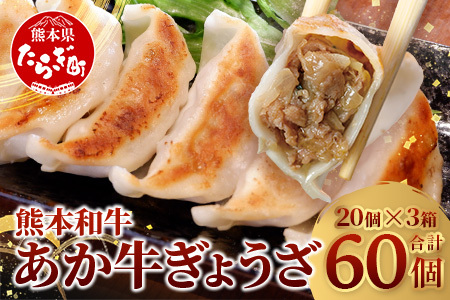 [餃子] 熊本和牛 あか牛 ぎょうざ セット ≪ 熊本あか牛餃子20個入り×3箱 合計60個 ≫ 熊本県 和牛 あか牛 冷凍 生餃子 ぎょうざ おかず 総菜 お弁当