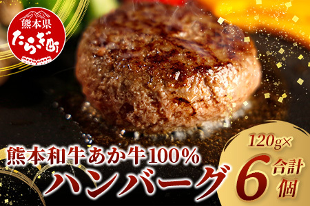 あか牛 100% ハンバーグ セット 120g×6個 NEWパッケージ 甲誠牛BOX [ ハンバーグ あか牛 牛肉 肉 熊本産 ギフト 贈り物 贈答 和牛 旨味 うま味 ぎっしり 熊本県 多良木町 牛肉 