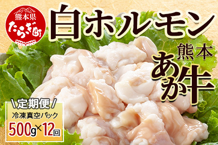 y12zF{ z 500g (250g×2)×12 y v 6Kg z Ⓚ^pbN F{ F{Y  Ⓚ ^  z Ă 041-0163