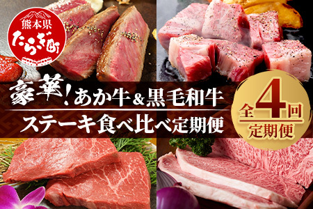 [定期便 4回]豪華! あか牛 & 黒毛和牛 ステーキ 食べ比べ 定期便≪ 牛肉 ブランド牛 黒毛 希少 褐毛和種 ステーキ サーロイン バラエティ 定期便 熊本県産 