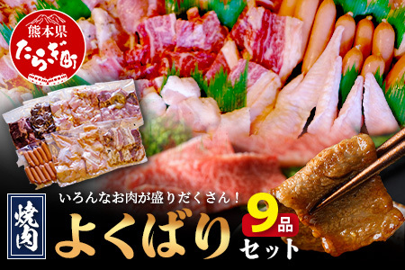 [数量限定] 村上精肉店の 焼肉 よくばりセット [ 9品 味付き 焼くだけ ] 牛カルビ ハラミ 豚バラ タン トントロ 鶏せせり 鶏もも 手羽先 ウインナー 焼き肉 BBQ アウトドア キャンプ バーベキュー 焼肉 焼き肉 やきにく