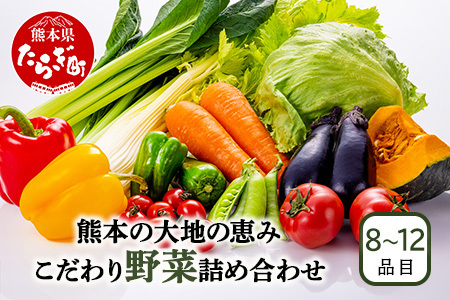 熊本の大地の恵み 旬の こだわり野菜詰め合わせセット 8〜12品 (3〜4名様向け)野菜 獲れたて 新鮮 野菜 セット 詰め合わせ 詰合せ 産地 直送 国産 季節 野菜 家族 ファミリー 多良木町