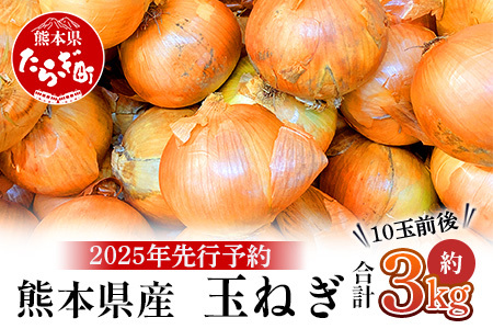 【先行予約】熊本県産 玉ねぎ 3kg (10玉前後) ≪2025年4月下旬から順次発送≫ 玉葱 野菜 数量限定 JAS たまねぎ オニオン 甘い ハンバーグ 肉じゃが 065-0635