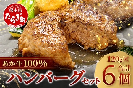 [年内お届け]あか牛 100%ハンバーグ セット 120g×6個 ※12/18-28発送※ 年内発送 年内配送 ハンバーグ あか牛 牛肉 肉 熊本産 国産牛 和牛 赤身 旨味 惣菜 冷凍 常備 熊本県 046