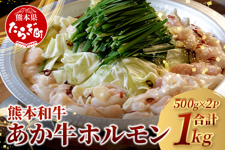 [ 年内お届け ]熊本県産 あか牛 ミックス ホルモン 1kg(500g×2パック) ※12/18-28発送※ もつ鍋 焼肉 ホルモン 焼き BBQ 熊本県 あか牛 牛肉 046