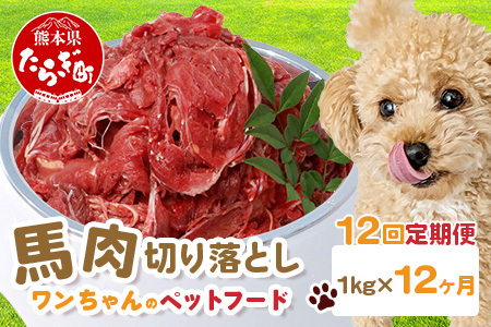 [定期便12回]ペット用 熊本加工 馬肉 切り落とし[ 1kg ×12回配送 ] 合計 12キロ ドッグ フード 無添加 無香料 ヘルシー 高栄養 馬刺し 冷凍 お肉専門店 熊本県 国内加工 1年 定期便