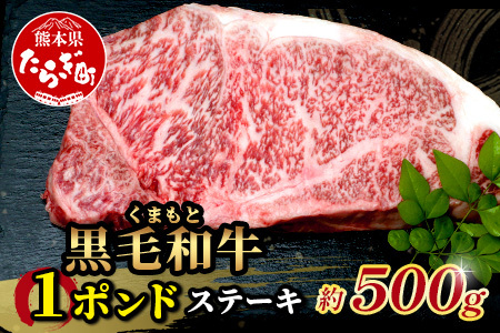 くまもと黒毛和牛 1ポンド ステーキ 約500g[ 黒毛 和牛 1 pound ステーキ 500g ブランド牛 上質 常備 冷凍 熊本県 