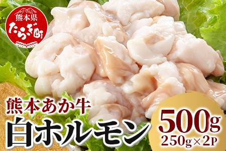 [ 年内お届け ]熊本あか牛 白ホルモン 計500g(250g×2パック)冷凍真空パック ※12月18日〜28日発送※ 熊本 熊本県産 あか牛 冷凍 真空 もつ鍋 ホルモン 焼き肉 041