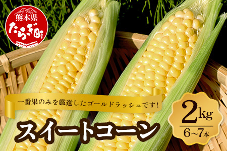 [数量限定]多良木町産 スイートコーン 約 2kg (6〜7本) 5月上旬〜順次配送 ゴールドラッシュ 一番果 甘い トウモロコシ 旬の味覚 産地直送 コーン とうもろこし 熊本県