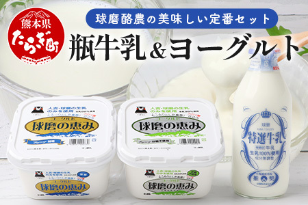 球磨酪農“おいしい定番"セット (瓶 牛乳 & ヨーグルト加糖・砂糖不使用) 牛乳 生乳 ヨーグルト