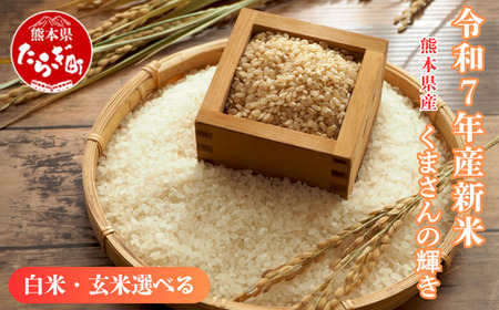 令和7年産新米[白米/玄米選べる 5kg] くまさんの輝き 5kg (令和7年10月中旬より順次発送) 新米 熊本県 多良木町 お米 5キロ 米 白米 精米 玄米