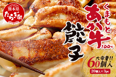[年末発送 受付中] くまもとあか牛 100% 餃子 計60個(20個×3パック) 冷凍 熊本県産 あか牛 ぎょうざ 惣菜 おかず 和牛 牛肉 赤身 お手軽 年内発送 年内配送 年末年始 073