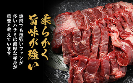 [厚切り] 牛 ハラミ ステーキ 500g 焼肉 ハラミ 焼き肉 軟化加工 はらみ 塩味 ハラミ はらみ 牛肉 あつぎり 厚 牛肉 肉 焼肉 BBQ 冷凍 小分け パック キャンプ バーベキュー