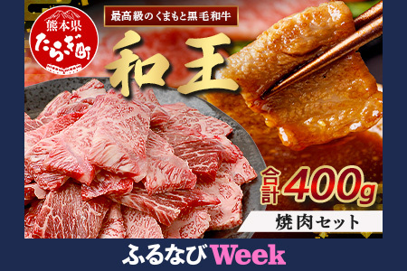 [ふるなびWEEK対象]くまもと黒毛和牛(和王) 焼肉セット400g ブランド牛 肉 焼き肉 やきにく 牛肉 精肉 国産 プレミアム品質 FN-Limited