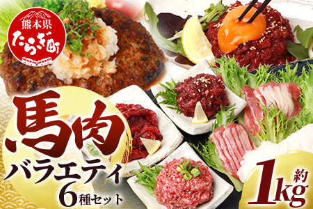 [年末発送]馬肉 バラエティー 6種 セット 約1.02kg [ 赤身切り落とし / コウネ / ネギトロ / ユッケ / フタエゴ / ハンバーグ / タレ付き ] 熊本馬刺し 新鮮馬刺し 食べ比べ セット 絶品 新鮮 絶品 熊本 国産 年内発送 年内配送 年末年始 031