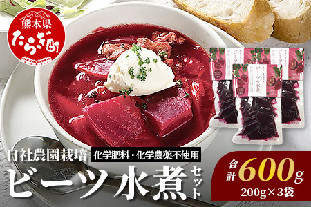 自社農園栽培 ビーツ 水煮 600g(200g×3袋) 熊本県 産 国産 スーパーフード 高栄養 beet レトルト