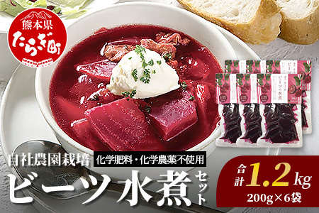 自社農園栽培 ビーツ 水煮 1.2kg(200g×6袋) 熊本県 産 国産 スーパーフード 高栄養 びーつ レトルト 野菜 根菜 美容 健康
