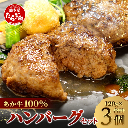 あか牛 100%ハンバーグ セット 120g×3個 ハンバーグ あか牛 牛肉 肉 熊本産 国産牛 和牛 旨味 うま味 ぎっしり 熊本県 多良木町 牛肉 お試し ハンバーグ