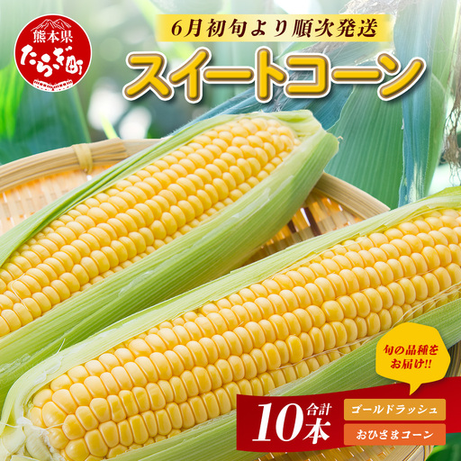 [6月初旬より順次発送]熊本県産 スイートコーン 10本入り ゴールドラッシュ おひさまコーン 旬の品種 露地栽培 とうもろこし
