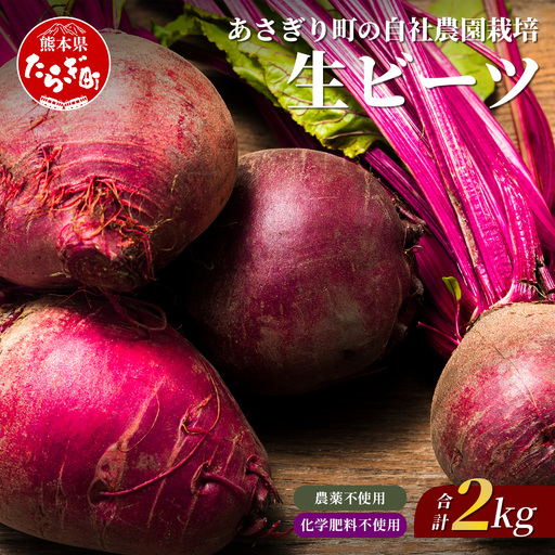 自社農園栽培 生 ビーツ 2kg 熊本県 産 国産 スーパーフード 115-0612