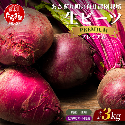 自社農園栽培 プレミアム 生 ビーツ 3kg 熊本県 産 国産 スーパーフード