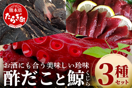 酢だこ 鯨南蛮漬け 塩鯨セット 計 1.5kg [酢だこ500g 鯨南蛮漬け500g 塩鯨500g] 冷凍 池田屋 多良木 鯨 くじら