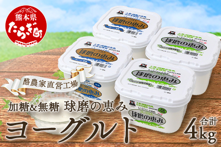 球磨の恵み ヨーグルト 加糖・砂糖不使用 1000g×各2個セット 合計4kg[ 新鮮 生乳使用 とろーり もっちり 加糖ヨーグルト 砂糖不使用 プレーンヨーグルト 食べるヨーグルト ] 074-0448