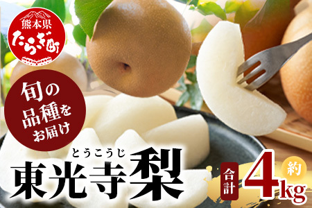 y2026N7{`10z  4kg (8`15) 1 n  s\ Ȃ iV ʕ   { t[c K L H V V 025-0572