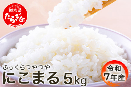 [R7年産 米 ]多良木町産 にこまる 5kg 均ちゃん農園 令和7年 精米 熊本県 米どころ 多良木町 白米 ご飯 お米 うるち 米