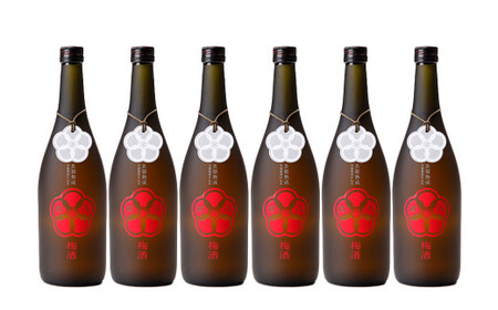 蔵八梅酒 720ml 6本 蔵八 梅酒 うめ酒 焼酎 本格焼酎 お酒 酒 地酒 九州 熊本