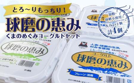 [順次配送]ヨーグル党総選挙 ム党の部 2年連続の第2位受賞!とろ〜りもっちり!球磨の恵みヨーグルトセット(加糖・砂糖不使用各1kgx2個 計4個)