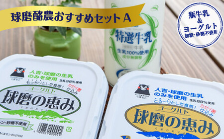 [順次発送]ヨーグル党総選挙 ム党の部 第2位受賞!球磨酪農おすすめセットA(瓶牛乳&amp;ヨーグルト加糖・砂糖不使用)