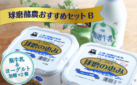 [順次発送]球磨酪農おすすめセットB(瓶牛乳&amp;ヨーグルト加糖×2個)
