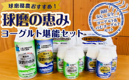 [順次発送]球磨酪農おすすめ!球磨の恵みヨーグルト堪能セット