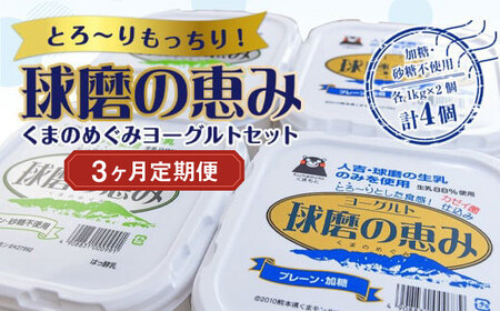 [3ヶ月定期便]とろ〜りもっちり!球磨の恵みヨーグルトセット(加糖・砂糖不使用各1kgx2個 計4個)計12kg