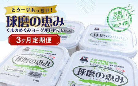[3ヶ月定期便]球磨の恵みヨーグルトセット(砂糖不使用1kg×4個)計12kg