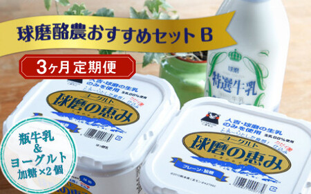 [3ヶ月定期便]球磨酪農おすすめセットB(瓶牛乳&ヨーグルト加糖×2個)